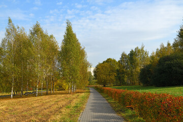 Beautiful golden autumn in Mitino Landscape Park. Moscow, Russia