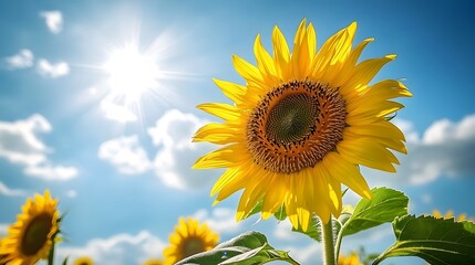 Macro close-up of a vibrant sunflower with golden yellow petals and a rich brown center against a clear blue sky with fluffy white clouds, featuring vivid colors and sharp focus.