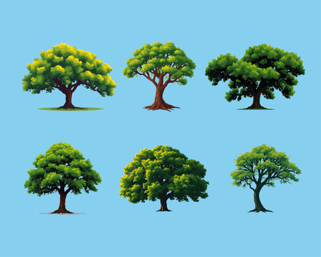 Vector illustration set of 6 diverse trees