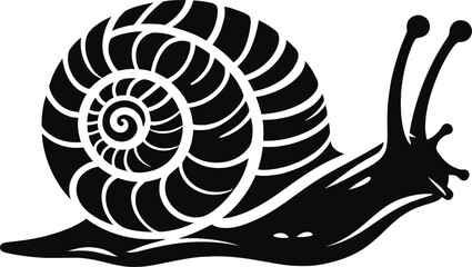 snail on a white background © PijushKumar