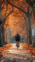 Cyclist on a tree-lined path, embodying the spirit of outdoor fitness and the joy of nature's embrace.