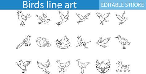 Birds Line Art Illustrations Set Editable Stroke