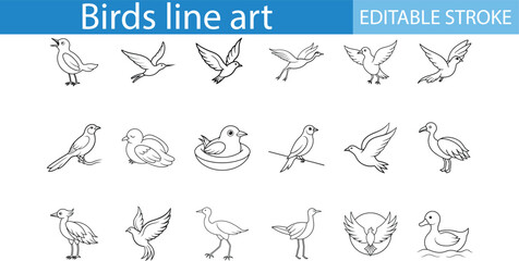 Birds Line Art Illustrations Set Editable Stroke