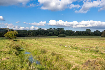 A stream running through a field in rural Sussex, on a sunny October day © lemanieh