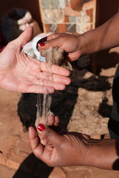 production of wild silk from collected cocoons of wild silkworms in madagascar