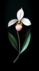 Naklejka premium Paphiopedilum Orchids logo 3d vector paper cute