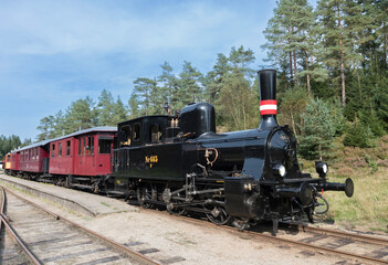 Naklejka premium Vintage Steam Train on Scenic Forest Railway Track