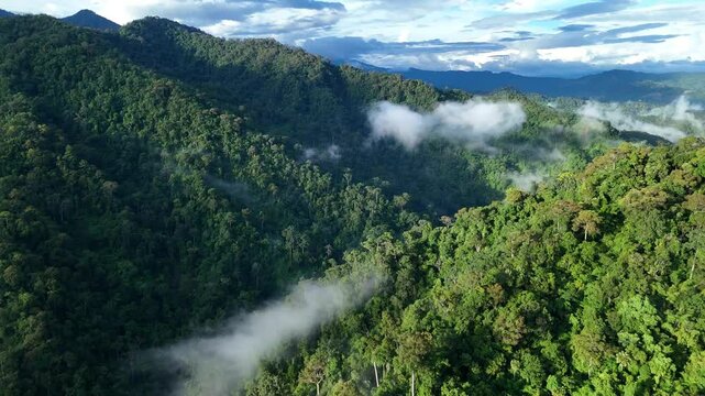 Aerial drone shot over primary Jungle tropical rain forest in Nan, Thailand. Aerial view, moving over a rainforest tree canopy in a slow pace beautiful green nature background of a tropical forest.