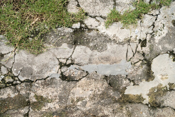 Close-up view of the cracked of the mossy floor.