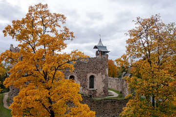 Autumn leaves surround historic ruins during overcast weather in a scenic landscape