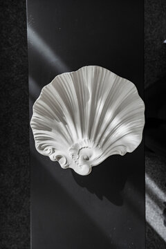Shell Dish