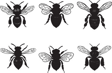 A set of bees. Hand drawn vector illustration	