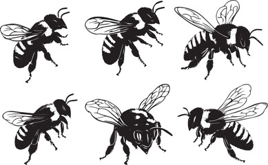 Fototapeta premium A set of bees. Hand drawn vector illustration 