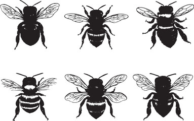 A set of bees. Hand drawn vector illustration	