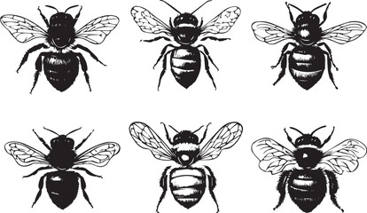 A set of bees. Hand drawn vector illustration	