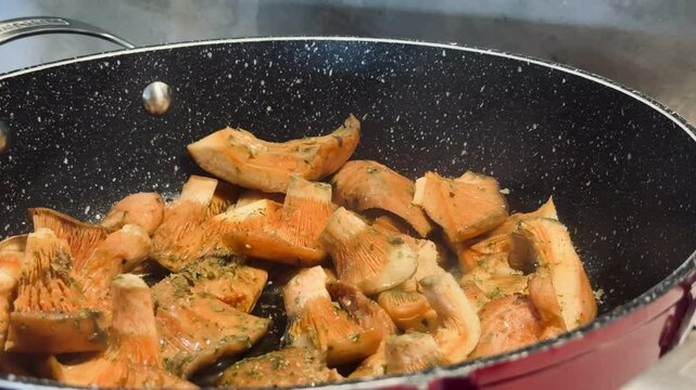 Cooking niscalos mushroom. Lactarius deliciosus.
