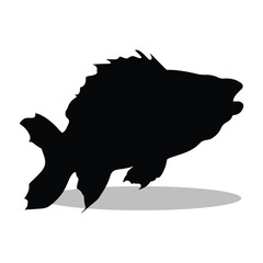 Bass fish silhouette illustration Design Bass fish silhouette icon