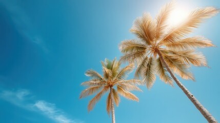 Two sunlit palm trees gracefully sway under a vibrant blue sky, symbolizing relaxation, warmth, and the allure of tropical travel destinations in summer.