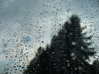 Trees Larches and rainy sky with clouds on summer time - view through wet window with raindrops, natural background. Topics: natural environment, vegetation, flora, season, coniferous trees