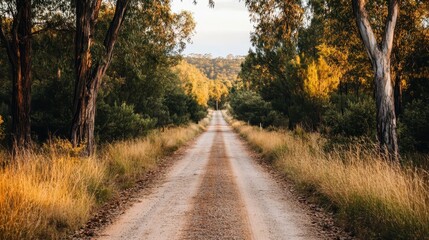 Fototapeta premium A seemingly endless dirt road cuts through a vivid landscape of lush greenery, encouraging thoughts of solitude, adventure, and the allure of the unknown journey ahead.