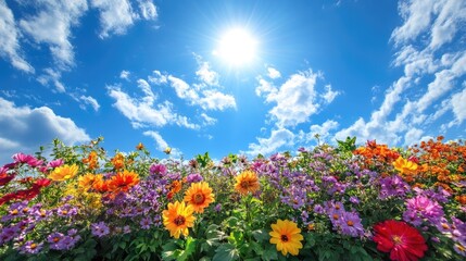 Obraz premium Vibrant Garden View with Colorful Flowers Under Sunlight