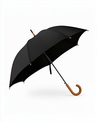 A stylish black umbrella with a wooden handle, perfect for rainy days and adding elegance to any outfit.