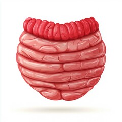 Illustration of a large sausage with detailed texture.
