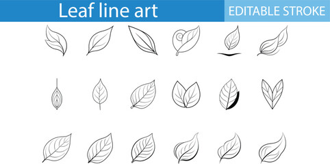 Leaf Line Art Design Editable Stroke Set