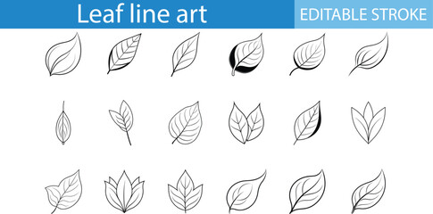 Leaf Line Art Design Editable Stroke Set