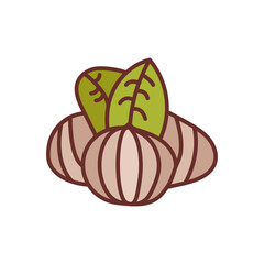 Chestnuts Filled Icons , Vector illustration
