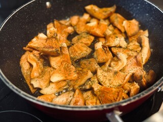 Cooking niscalos mushroom. Lactarius deliciosus.
