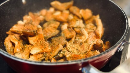 Cooking niscalos mushroom. Lactarius deliciosus.
