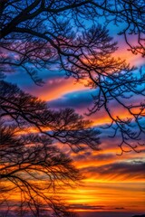 Fototapeta premium Silhouetted trees against fiery horizon and vibrant sunset vivid sky