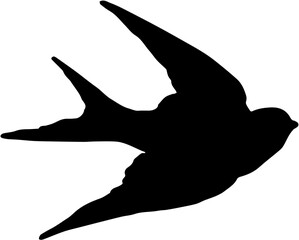 silhouette of a bird