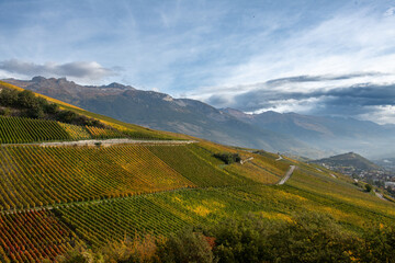 Obraz premium Le coteau de Sierre, Noble-Contrée