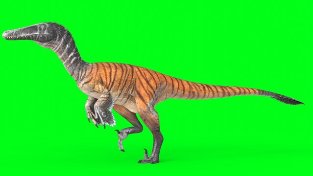 austroraptor with green background