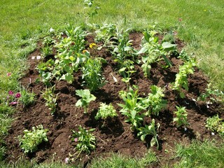 gardening