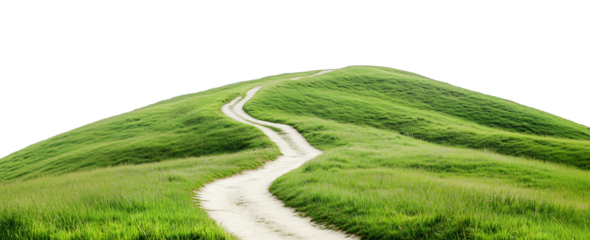 Narrow trail through lush green grass field, cut out - stock png.