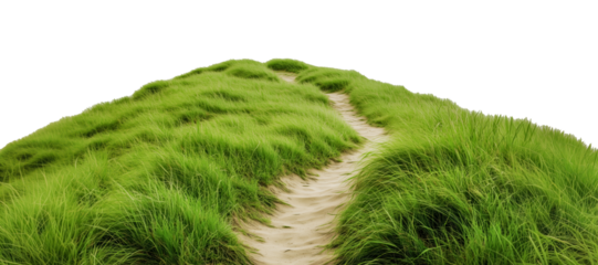 Sandy path winding through grassy dunes, cut out - stock png.