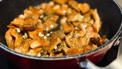 Cooking niscalos mushroom. Lactarius deliciosus.
