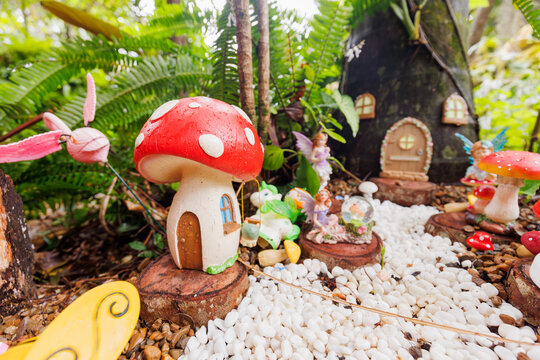 Fairy garden in tropical setting