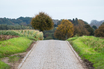Cobble stone country road through the fields in Kobbegem, Asse, Belgium