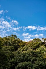 鎌倉2410　英勝寺18　秋空