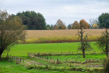 Agriculture fields and green hills at the Flemish countryside in Merchtem, Belgium