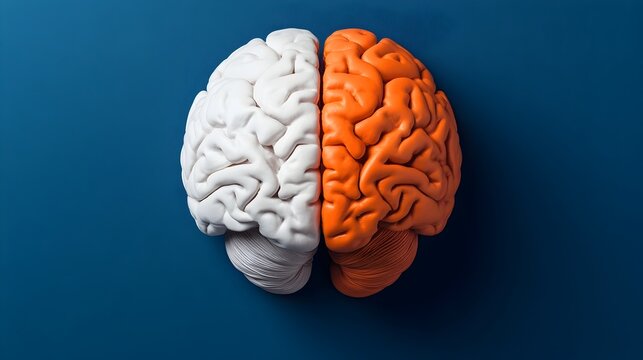 Personalized Neurological Care Expertise and Attention for Brain Health