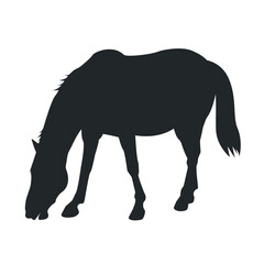 Horse black silhouette isolated on white background. Vector stock illustration.