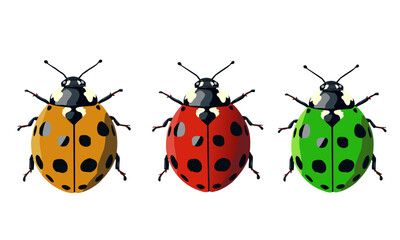 set of ladybug