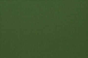 Fototapeta premium Green backgrounds textured abstract.