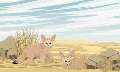 Two fennec foxes resting in the desert near rocks and thickets of dry grass. Desert wildlife. Realistic vector landscape