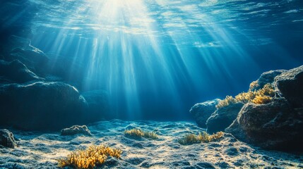 Obraz premium Underwater Sunlight. Rocky Seabed and Algae in Oceanic Depths